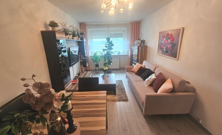 mieszkanie na sprzedaż - Sośnicowice (gw), Trachy