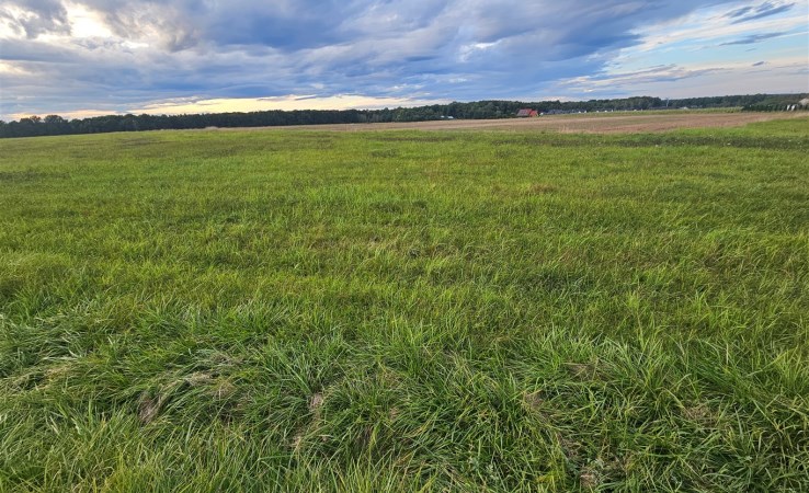 działka na sprzedaż - Rudziniec, Kleszczów